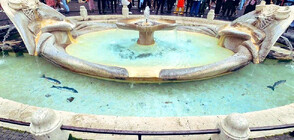 Арт инсталация в защита на природата се появи във фонтан в центъра на Рим (СНИМКИ)