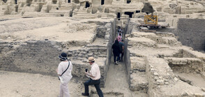 Работилници за мумифициране и 4400-годишна гробница са открити край Кайро (ВИДЕО)