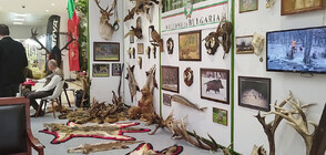 България представя условията за ловен туризъм у нас на Международно изложение в Истанбул