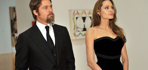 Преживя ли Анджелина Джоли развода си с Брад Пит