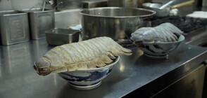 Гигантски изопод е главен герой на ново ястие в ресторант в Тайпе (ВИДЕО)