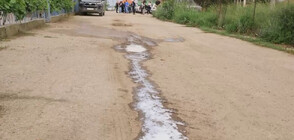 Фермери изляха прясно мляко на пътя в знак на протест (ВИДЕО)
