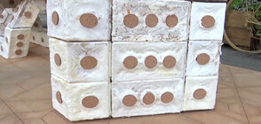 Бихте ли живели в дом, направен от гъби? (ВИДЕО)