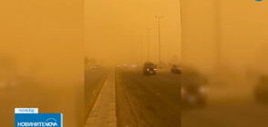 Голяма пясъчна буря покри Суецкия канал, има загинал и ранени (ВИДЕО)