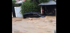 Над 40 загинали при наводненията в Хаити (ВИДЕО)