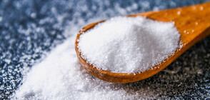 „Истории в чиния“: Как човешката цивилизация е свързана с добива на сол