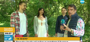 Фестивал вдъхва нов живот на парковете в Стара Загора (ВИДЕО)