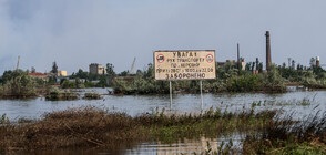 No data of pollution along Bulgaria’s Black Sea coast after Nova Kakhovka disaster
