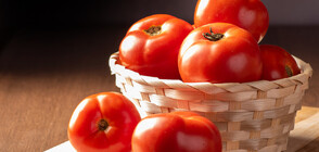СЕЗОНЪТ НА САЛАТИТЕ: Внасяме повече домати, отколкото банани