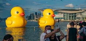 НЕОБИЧАЙНО: Две гигантски гумени патета плуват в хонконгското пристанище (ВИДЕО)