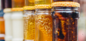 Вижте къде се произвежда най-скъпият мед в света (ВИДЕО)