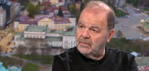 Красимир Стойчев: Това правителство ще издържи до местните избори