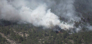12 горски служители загинаха при пожар в Казахстан (ВИДЕО)