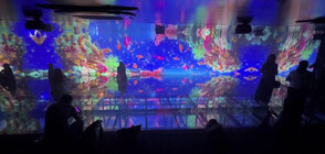 „Море от огледала”: Откриха уникална дигитална изложба в Рио (ВИДЕО)