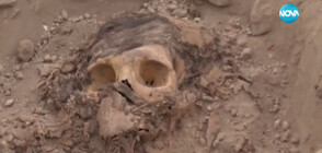 Откриха запазена мумия на 3000 години (ВИДЕО)