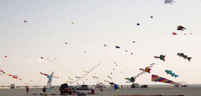 Стотици пъстри хвърчила полетяха над плаж в Дания (ВИДЕО)