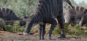 В Чили откриха останки от нов вид динозавър (ВИДЕО)