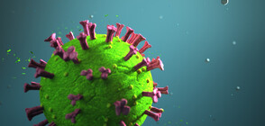 40 са новите случаи на коронавирус у нас