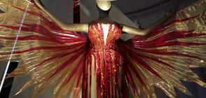 Изложба в Лондон показва невиждани до момента предмети на кино и музикални звезди (ВИДЕО)