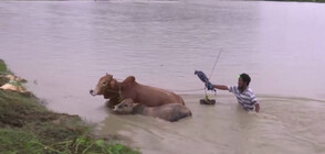 Хиляди останаха без дом заради наводнения в Североизточна Индия (ВИДЕО)