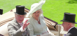 Крал Чарлз III и кралица Камила посетиха известните конни надбягвания в Бъркшир (ВИДЕО)
