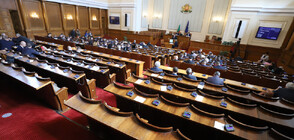 НС прие правила за избор на шефове на БНБ, Сметната палата и НЗОК