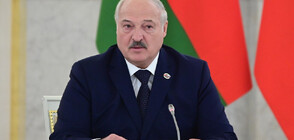 Лукашенко е провел телефонни разговори с Путин и с Назарбаев