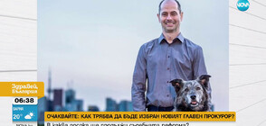 Куче беше кандидат за кмет на Торонто (ВИДЕО)