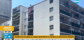 НЕЗАКОННА КЛАНИЦА: Как в Ница намериха 10 живи и 12 транжирани агнета в апартамент