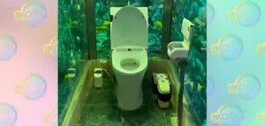 Създадоха тоалетна в аквариум