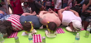 Организираха надяждане с пай в Кий Уест (ВИДЕО)