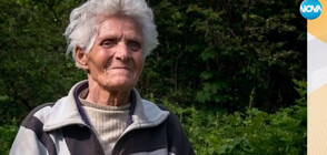 Пети ден издирват възрастна жена, изчезнала в Еленския Балкан