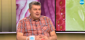 Д-р Сергей Иванов за динята с ацетон: Най-вероятно това просто е случайно развален плод