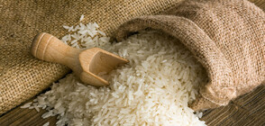 Производители алармират за 10-процентен скок в цената на ориза