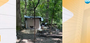 „Пълен абсурд”: Бездомни семейства с деца обитават незаконно селище в центъра на София