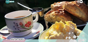 Чай, сладки, сметана и конфитюр - закуска по британски (ВИДЕО)