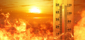 Code Orange: Heat wave warning for 16 Bulgarian regions