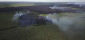 Пожари погълнаха над 4000 хектара гори в Боливия (ВИДЕО)