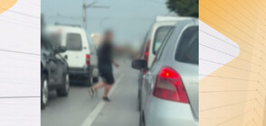 Пореден случай на бой между шофьори на столично кръстовище (ВИДЕО)