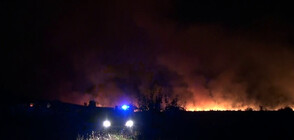 Потушен е големият пожар в Бургаско