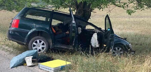 Шофьор загина след удар в дърво в Шуменско