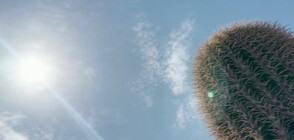 Град в Аризона счупи 50-годишен температурен рекорд (ВИДЕО)