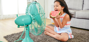 Лек за жегите: Кои са най-хидратиращите плодове (ГАЛЕРИЯ)