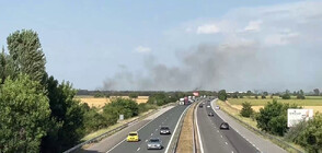 Голям пожар затвори част от магистрала „Тракия” (ВИДЕО+СНИМКИ)