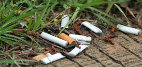 Французин вдъхва нов живот на цигарените фасове (ВИДЕО)