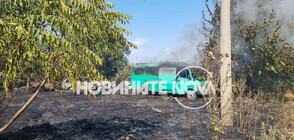Три автомобила и микробус изгоряха при голям пожар в Пловдивско (СНИМКИ)
