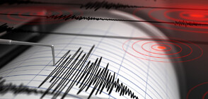 Земетресение в района на Добрич