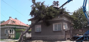 Квартали в Белослатинско без ток след бурята