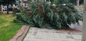 Описват щетите след бурята в Бяла Слатина