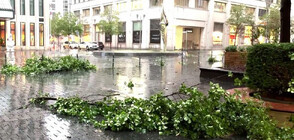 Внезапна мощна буря предизвика хаос в Берлин (ВИДЕО)